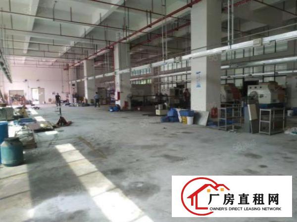  （出租）凤岗新出一楼1250平方现成办公室主线到车间！