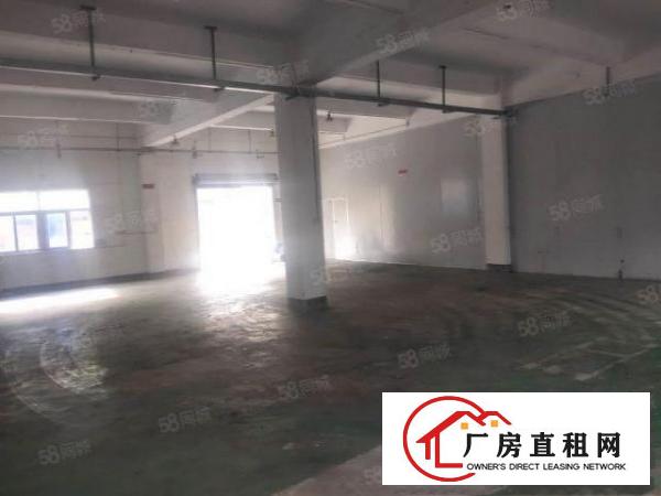  凤岗油甘埔空出一楼350平方出租现成办公室