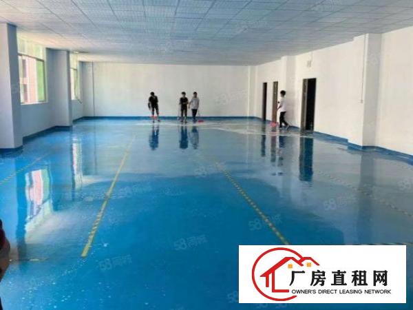  凤岗临深原房东独院3000平实际面积出租，大小可分组