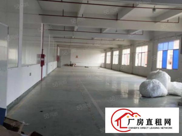  凤岗临深原房东独院3000平实际面积出租，大小可分组