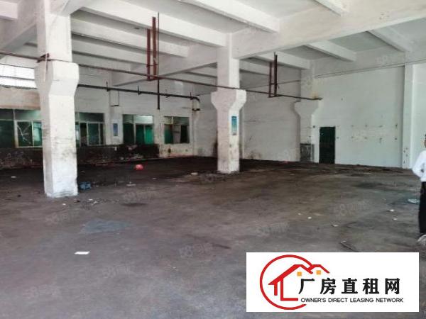  凤岗临深原房东独院3000平实际面积出租，大小可分组