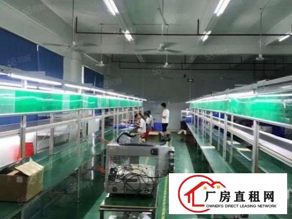  凤岗新出楼上1100平方。现成水电办公室，无需转让费，院子大
