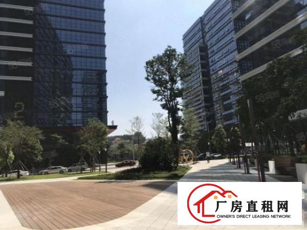  凤岗临深红本厂房出租全年免租单层2000平100平起分租