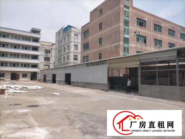  金凤凰新出8000平厂房出租可分租水电气齐全