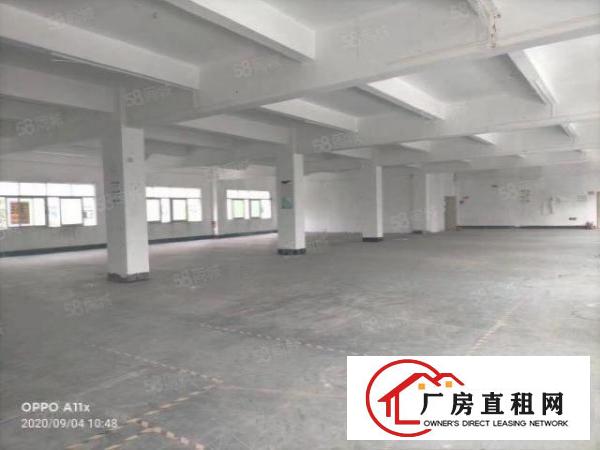  金凤凰新出8000平厂房出租可分租水电气齐全