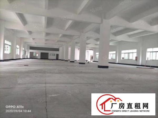  金凤凰新出8000平厂房出租可分租水电气齐全