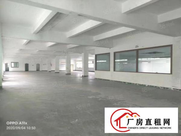  金凤凰新出8000平厂房出租可分租水电气齐全
