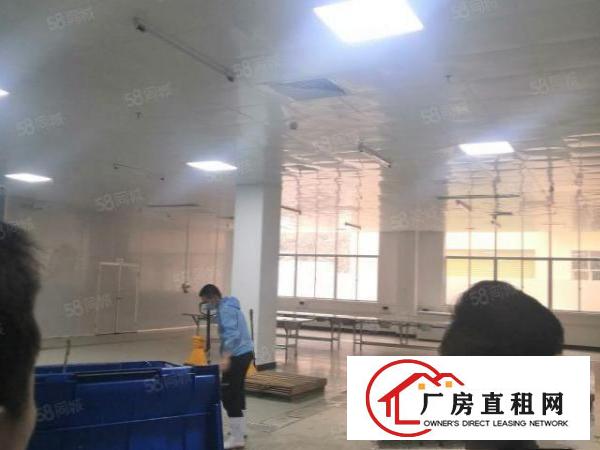  凤岗油甘埔楼上500平方带地坪漆豪华装修水电齐全只租12块