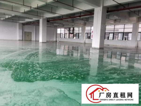  凤岗雁田布心工业区楼上800平米仓库超大空地厂房出租