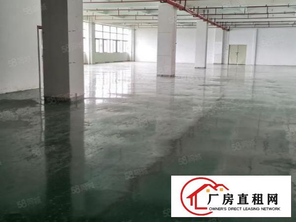  凤岗雁田布心工业区楼上800平米仓库超大空地厂房出租