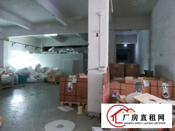  好招工，自用厂房分租凤岗靠近深圳独院一二楼1500平