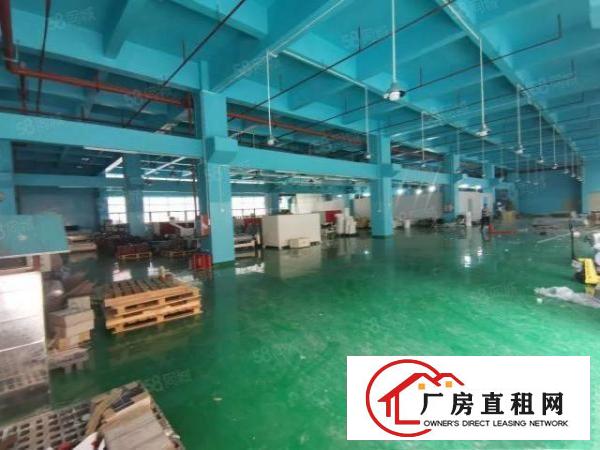  凤岗油甘埔深沃工业区2800平方超大精装修500起分厂房出租