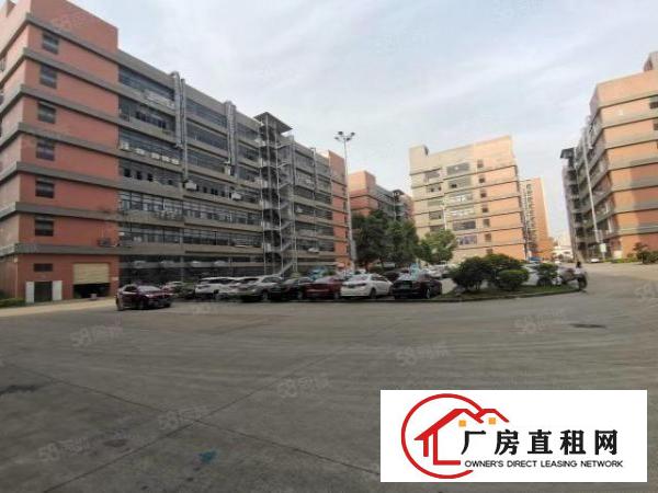  凤岗油甘埔深沃工业区2800平方超大精装修500起分厂房出租