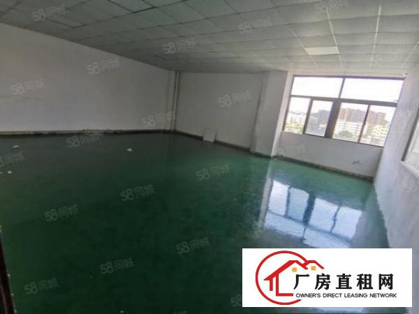  凤岗油甘埔深沃工业区2800平方超大精装修500起分厂房出租