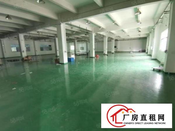  凤岗油甘埔深沃工业区2800平方超大精装修500起分厂房出租