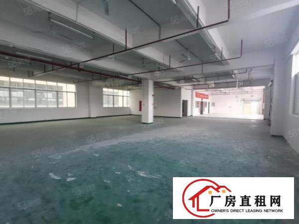  凤岗雁田独院厂房出租1800平方空地超大大小可分租