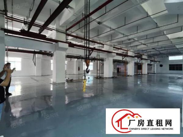  凤岗宏盈工业区厂房出租1200平方带装修超大空地可分租