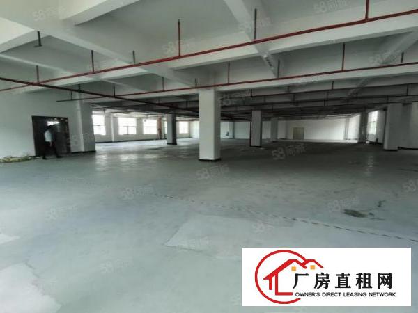  凤岗宏盈工业区厂房出租1200平方带装修超大空地可分租