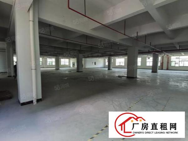  凤岗宏盈工业区厂房出租1200平方带装修超大空地可分租