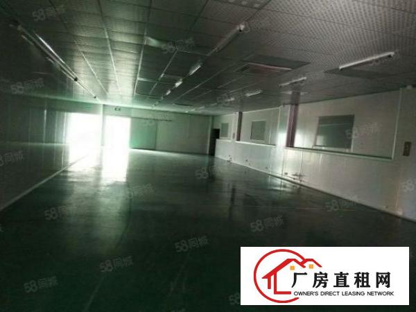  凤岗雁田靠近深圳成熟工业区1楼整层1000平方厂房大小招租
