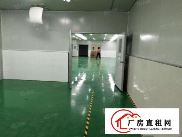  凤岗雁田靠近深圳成熟工业区1楼整层1000平方厂房大小招租