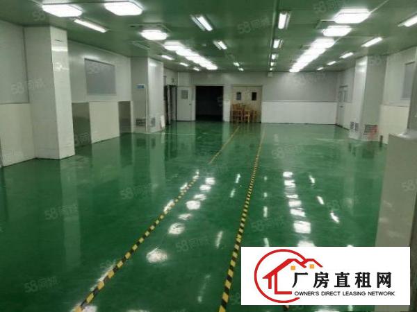  凤岗雁田靠近深圳成熟工业区1楼整层1000平方厂房大小招租