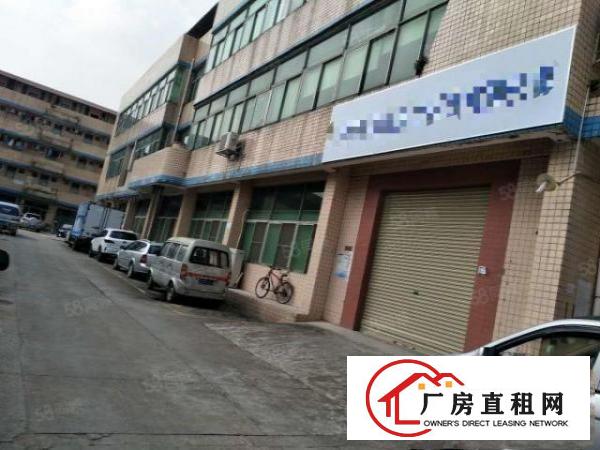  凤岗雁田靠近深圳成熟工业区1楼整层1000平方厂房大小招租