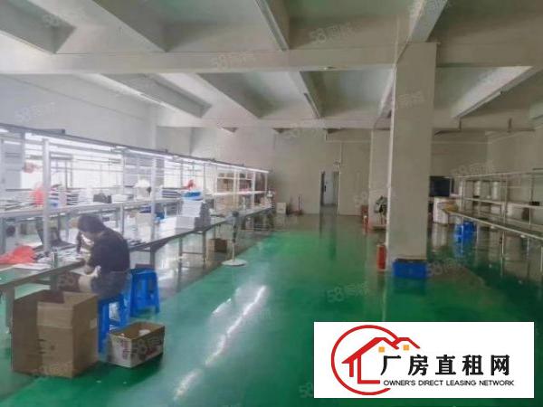  凤岗金凤凰工业区全新标准厂房出租3楼2000平可分租整租