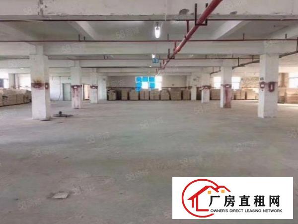  凤岗金凤凰工业区全新标准厂房出租3楼2000平可分租整租