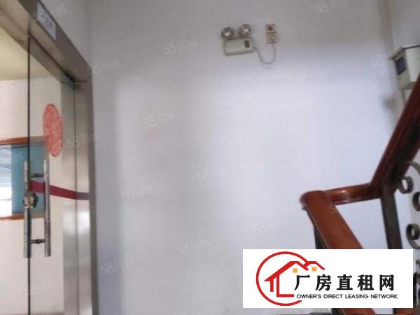  凤岗小面积带装修厂房出租单层1000平独立货梯配套3吨一台