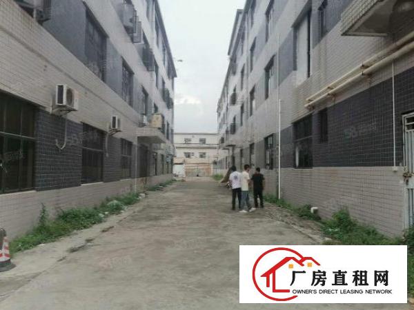  凤岗.靠近深圳平湖,雁田新出独院厂房3000平大小可分租