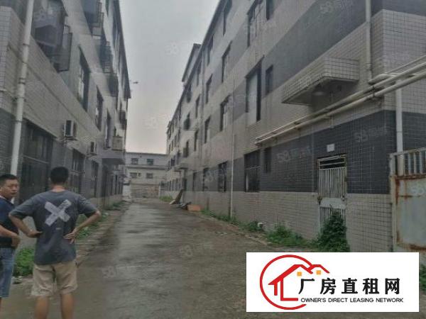  凤岗.靠近深圳平湖,雁田新出独院厂房3000平大小可分租