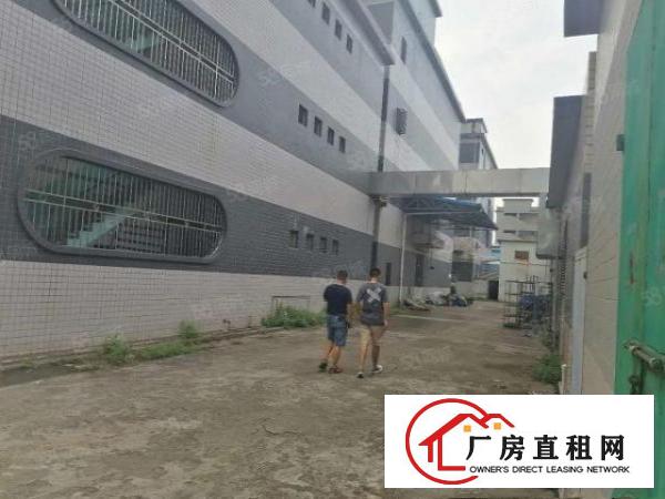  凤岗.靠近深圳平湖,雁田新出独院厂房3000平大小可分租