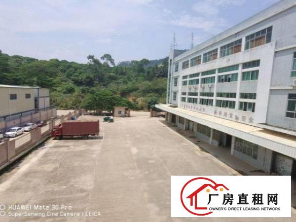  凤岗独院9100平现成冻库可做配送仓储物流空地4000平