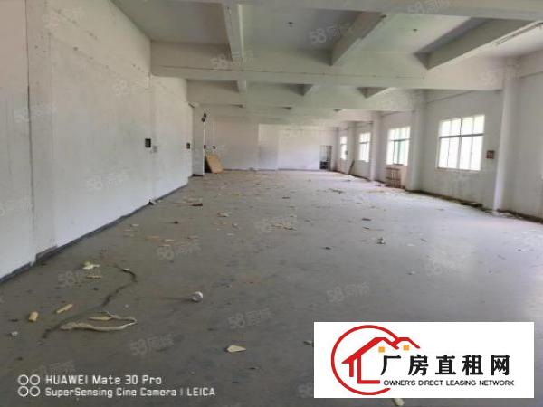  凤岗独院9100平现成冻库可做配送仓储物流空地4000平