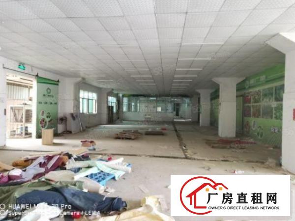  凤岗独院9100平现成冻库可做配送仓储物流空地4000平