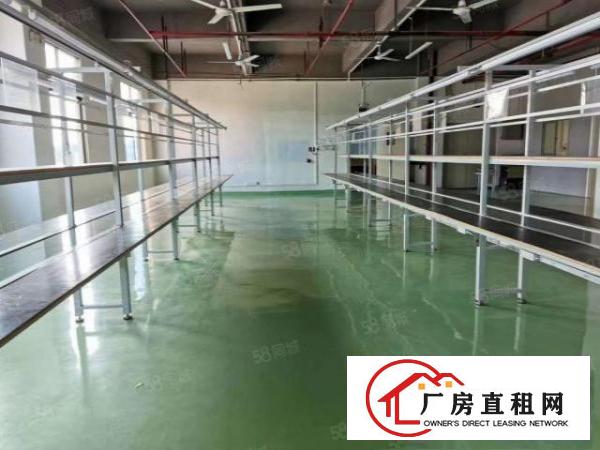  凤岗雁田新出楼上精装修厂房700平方出租紧挨深圳地区