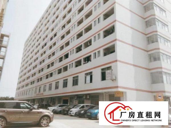  凤岗镇东深二线边上大型工业园标准厂房出租5万平500平起分租