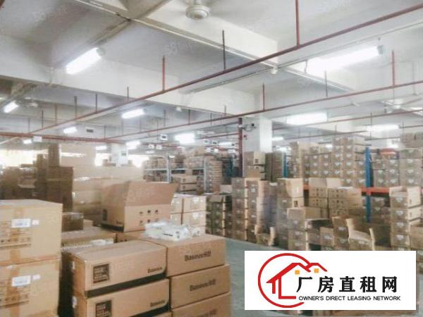  凤岗镇东深二线边上大型工业园标准厂房出租5万平500平起分租