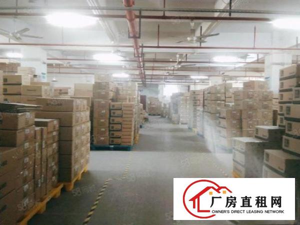  凤岗镇东深二线边上大型工业园标准厂房出租5万平500平起分租