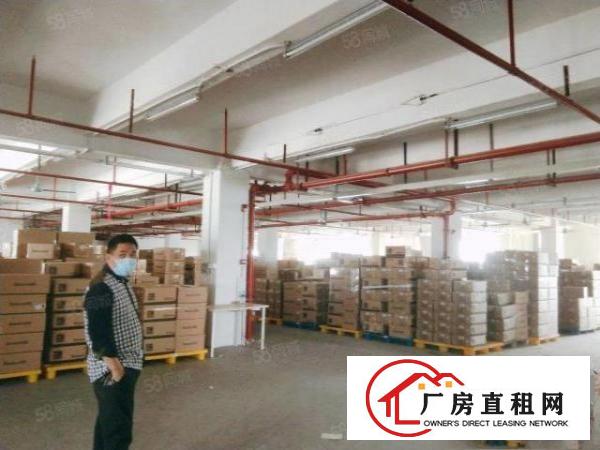  凤岗镇东深二线边上大型工业园标准厂房出租5万平500平起分租
