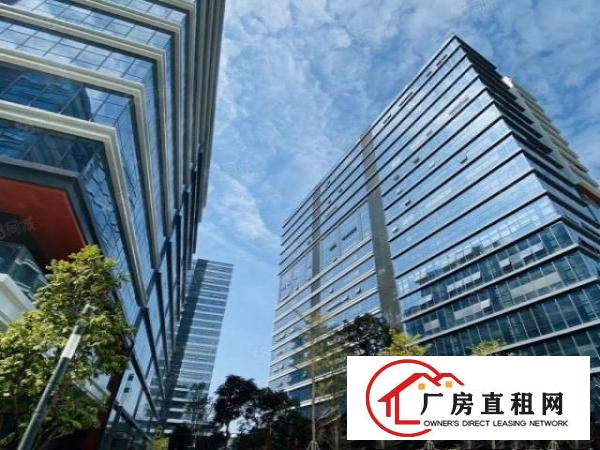  全年免租红本厂房出租总面积15万平方100平方起分形象