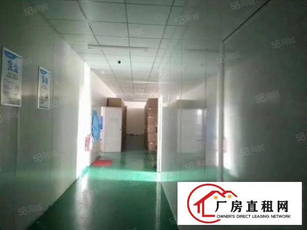  雁田新出1300平精装修厂房出租水电齐全