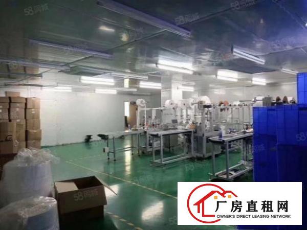  雁田新出1300平精装修厂房出租水电齐全