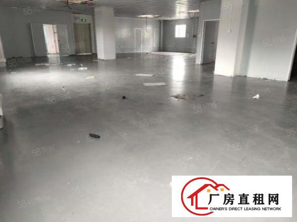  凤岗新出全新厂房现成无尘车间，水电齐全，周边配套齐全，好招工