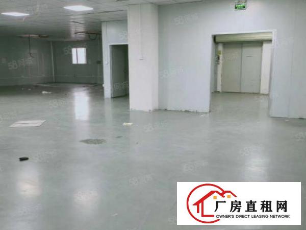  凤岗新出全新厂房现成无尘车间，水电齐全，周边配套齐全，好招工