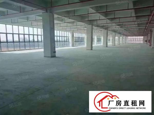  凤岗镇全新12万平方厂房出租200起分可以分租可办环评