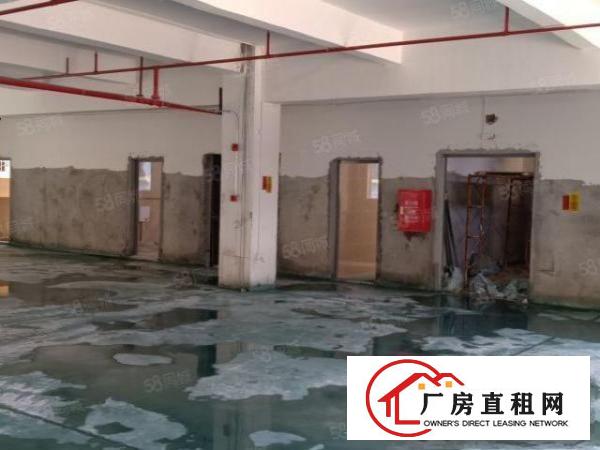  全新工业区业主直接出租35000平米可分租1000平米起