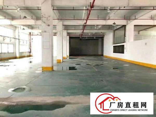  凤岗雁田原房东独院厂房出租一楼860平方可过环评