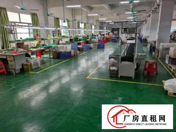  凤岗金凤凰工业区新出1000平方楼上带地坪漆办公室可办环评